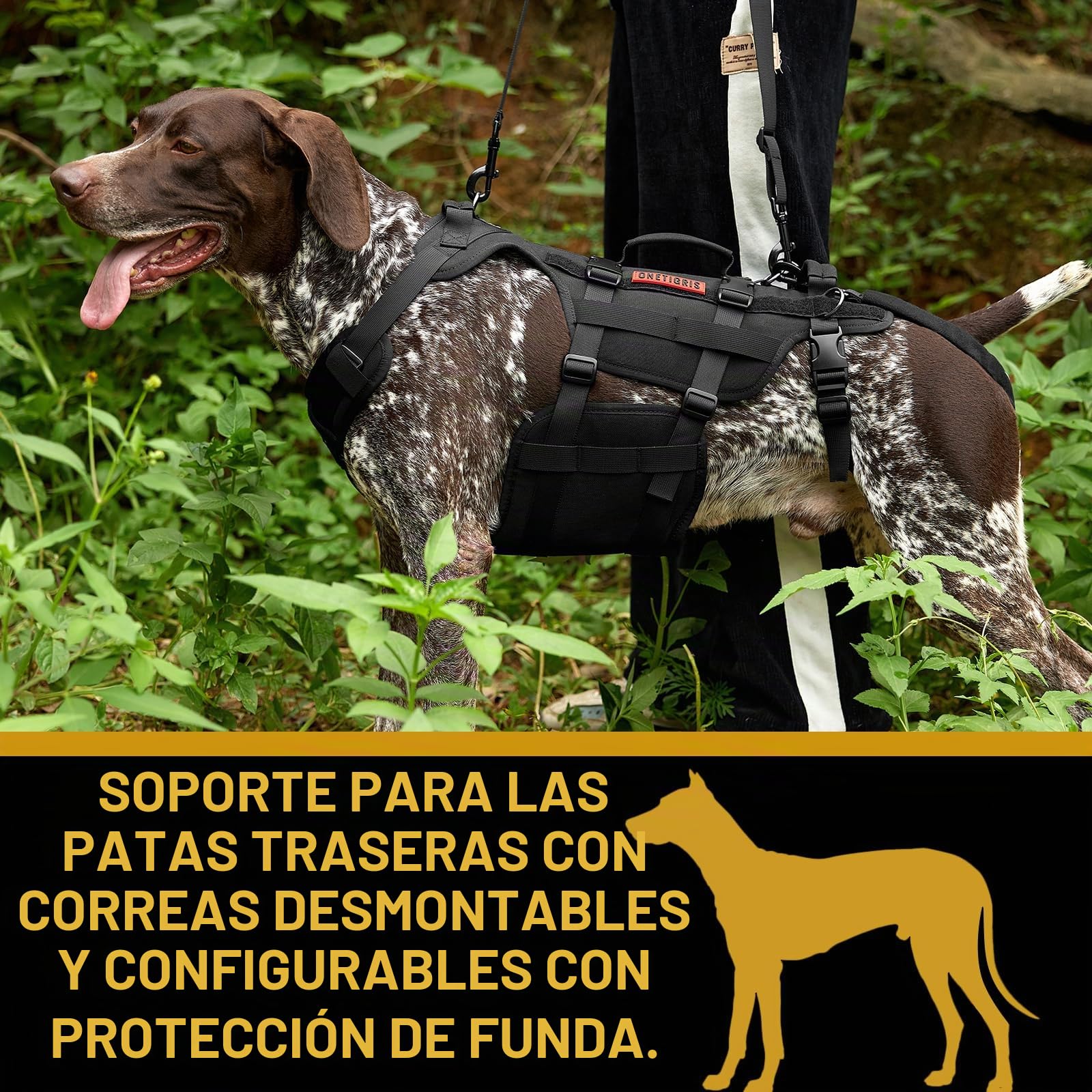 OneTigris Arnés de Apoyo Invictus para Perros Medianos y Grandes - Arnés de Elevación y Seguridad Con 3 Asas, Correas Ajustables Desmontables y Correas Traseras