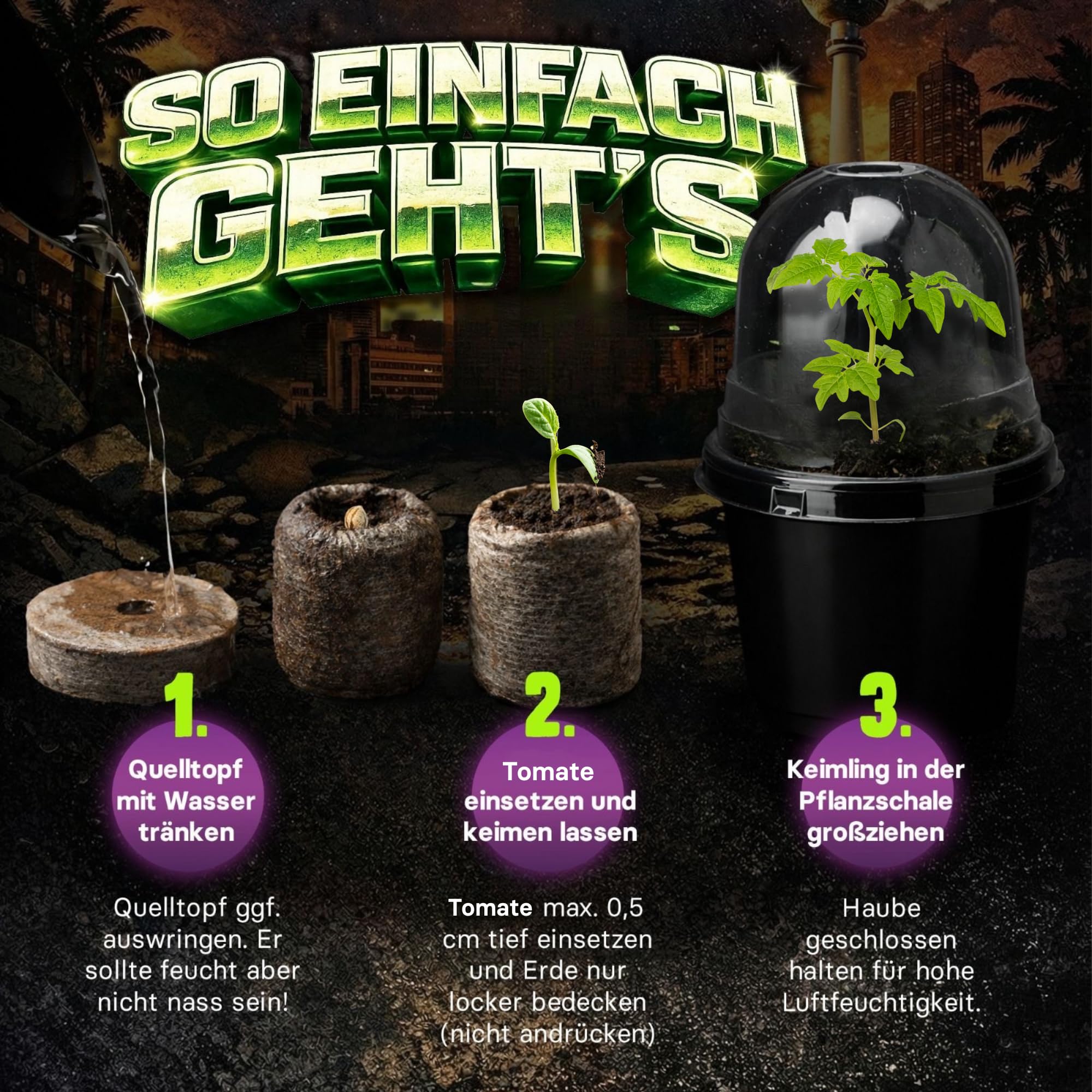 Diamond Buds® Cali Berlin Genetik 3er Set – Exklusiver Anzucht-Starter mit feminisierter Genetik, Quelltöpfen, Pflanzenschalen & Nährstofflösung