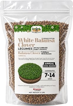 Old Cobblers FarmTM Wicked Tuff Turf Balansa Clover Seed Nitrogen-Fixing Cover Crop Legume for Wet, Clay & Flood-Prone Soils, Self-Reseeding Winter Annual 5 lbs|10 lbs|15 lbs|20 lbs 5lbs
