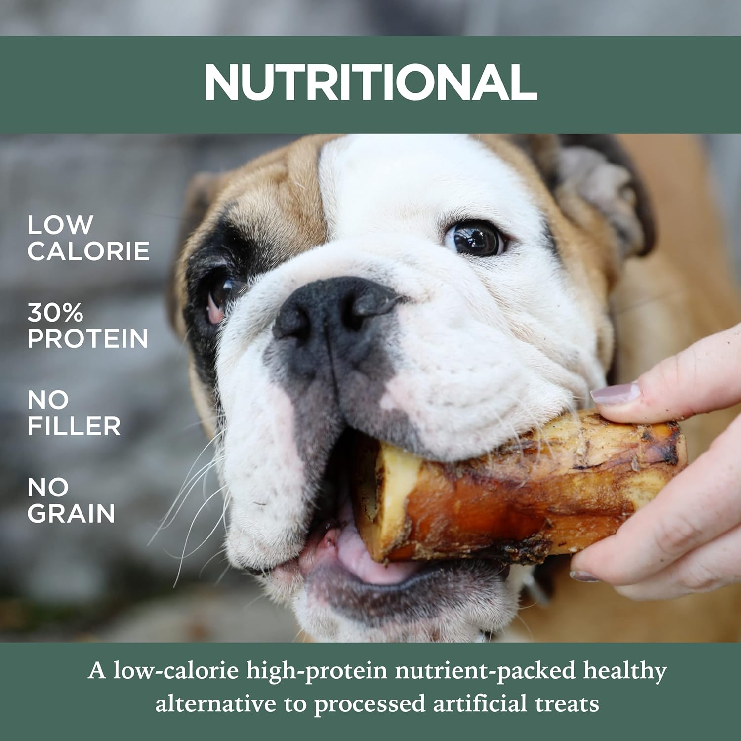 K9 Connoisseur Single Ingredient Dog Bones Made in USA Natural Marrow Filled Dynamo Bone Chew Treats Bundled with Slow Roasted Beef Lung Bites