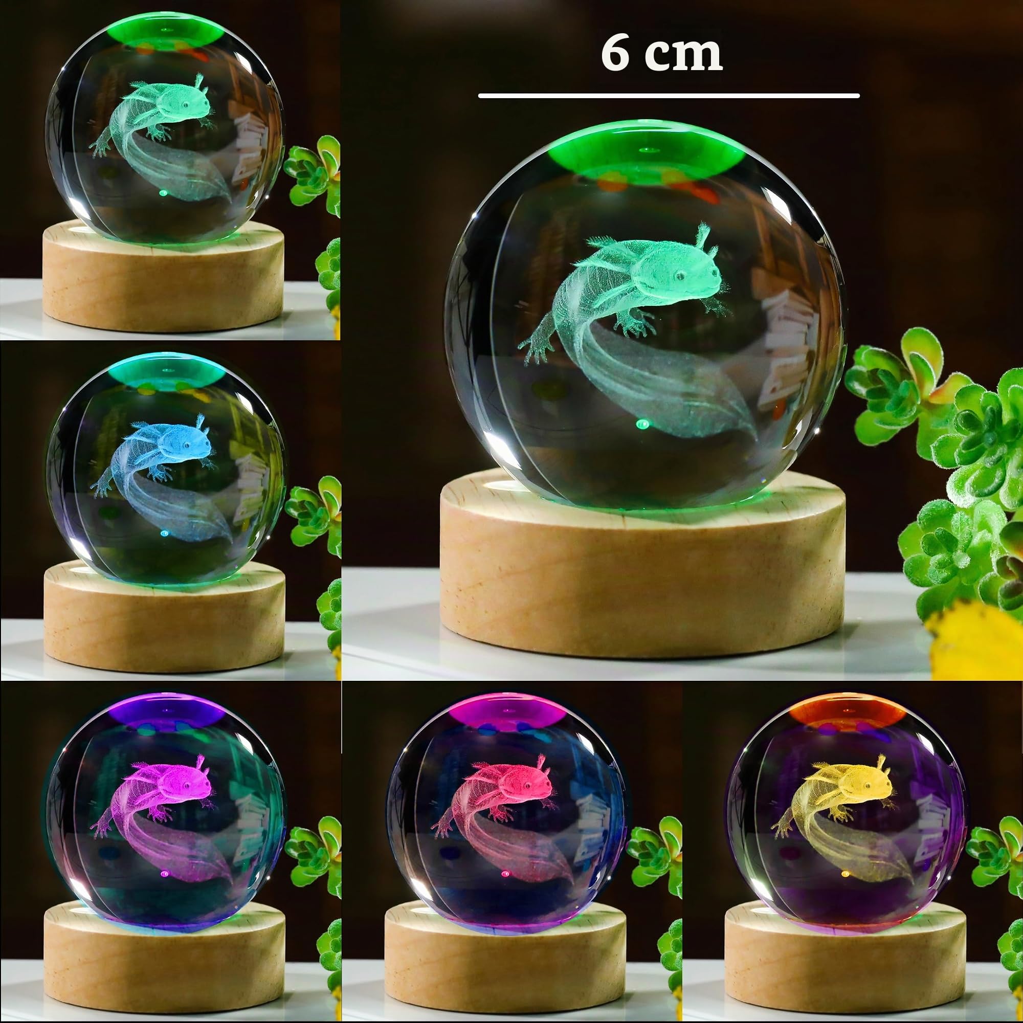 Axolotl 3D-Geschenke - Kristallkugel, 60 mm, Figuren, Dekoration, Glastierfigur, Zimmer-Deko, Geburtstag, Beste Freundin, Liebhaber, Andenken, Briefbeschwerer