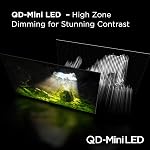 TCL 55-Inch QM7 QD-Mini LED QLED 4K Smart TV with Google TV (55QM751G, 2024 Model) Dolby Vision IQ, Dolby Atmos, HDR, Game Accelerator up to 240Hz, Voice Remote, Works with Alexa, Streaming Television