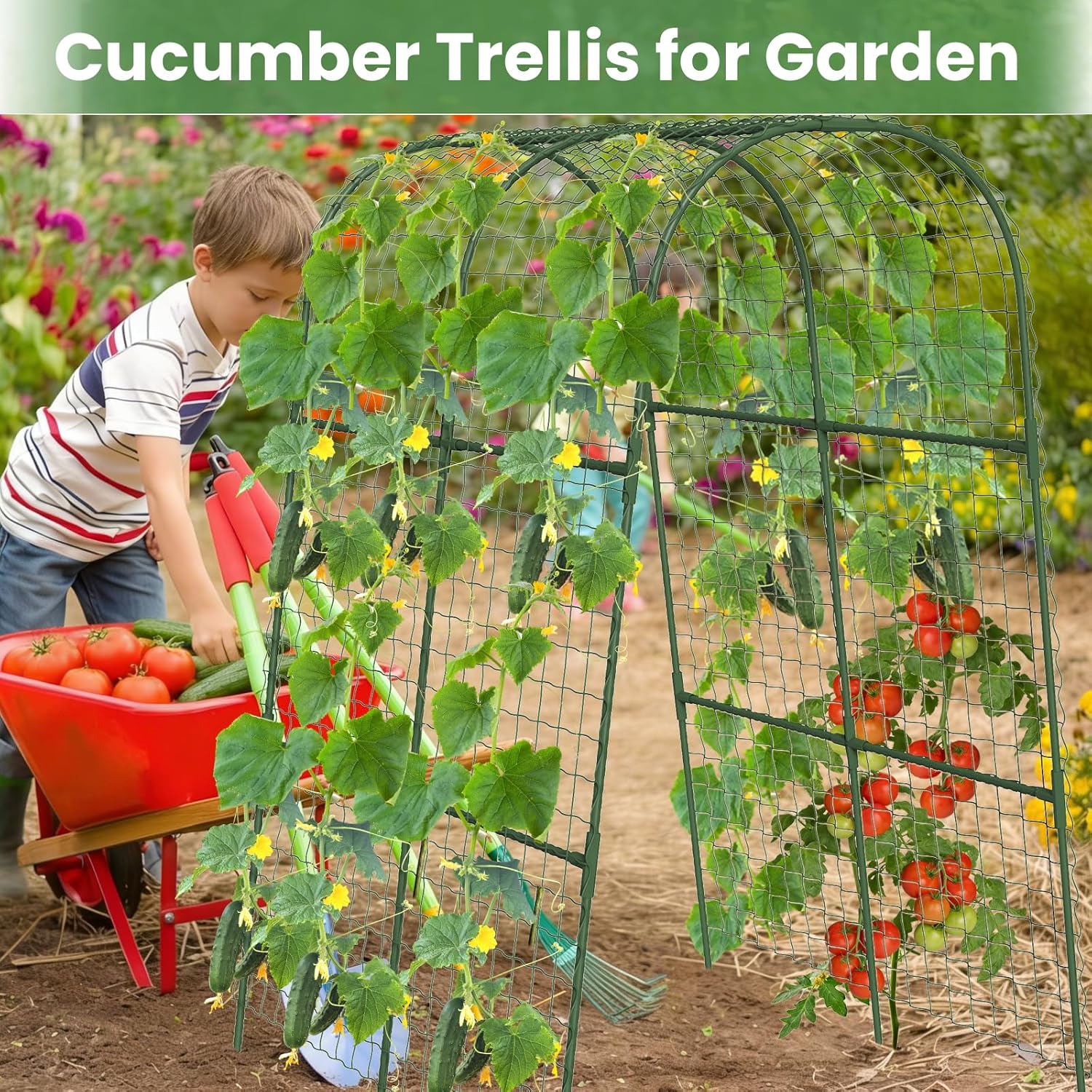 Cucumber Trellis, Metal Garden Arch Trellis for Raised Bed, 32 x 48inch U-Shape Garden Trellis for Climbing Plants Outdoor, Vegetables Fruit Plant Support with Netting, Gardening Supplies (Green)