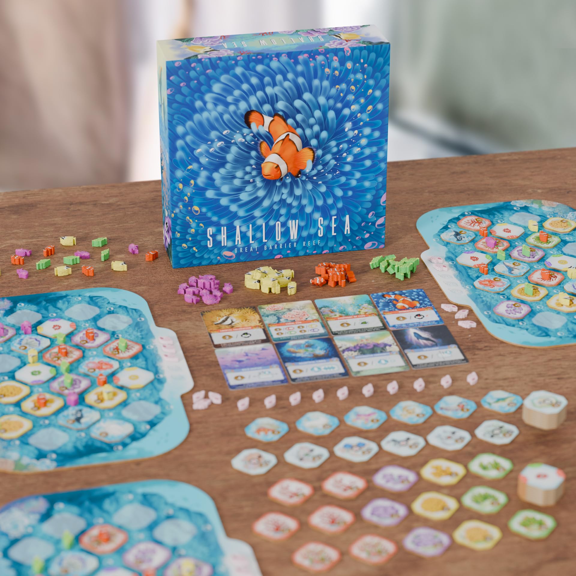 Juego de Mesa Shallow Sea – Juego de Estrategia de colocación de Azulejos para Mayores de 14 años | 1-4 Jugadores, 30-45 Minutos de Juego | Construye un ecosistema de Arrecife de Coral, Juego de