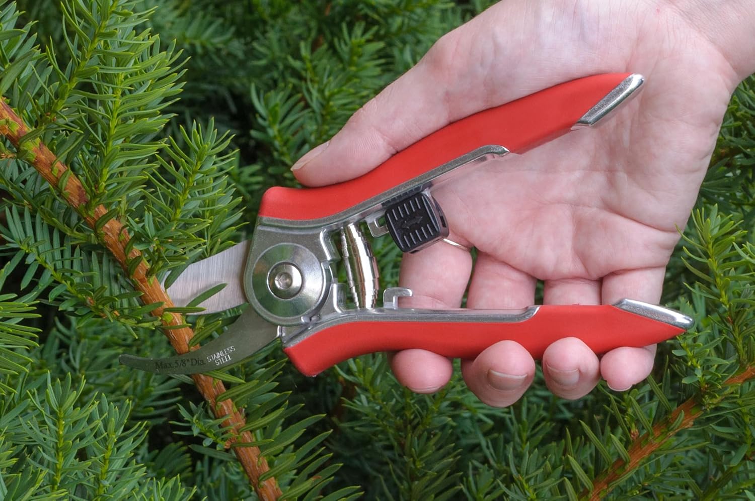 Dramm 18015 Stainless Steel Compact Pruner, 1 EA, Blue Blue 1 EA