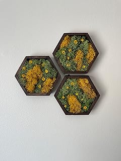 Moss Wall Art | Honeycomb Moss Single to Set of Twelve | White Wood Hexagon | Green with Yellow Preserved Flowers (White, Set of Eight)
