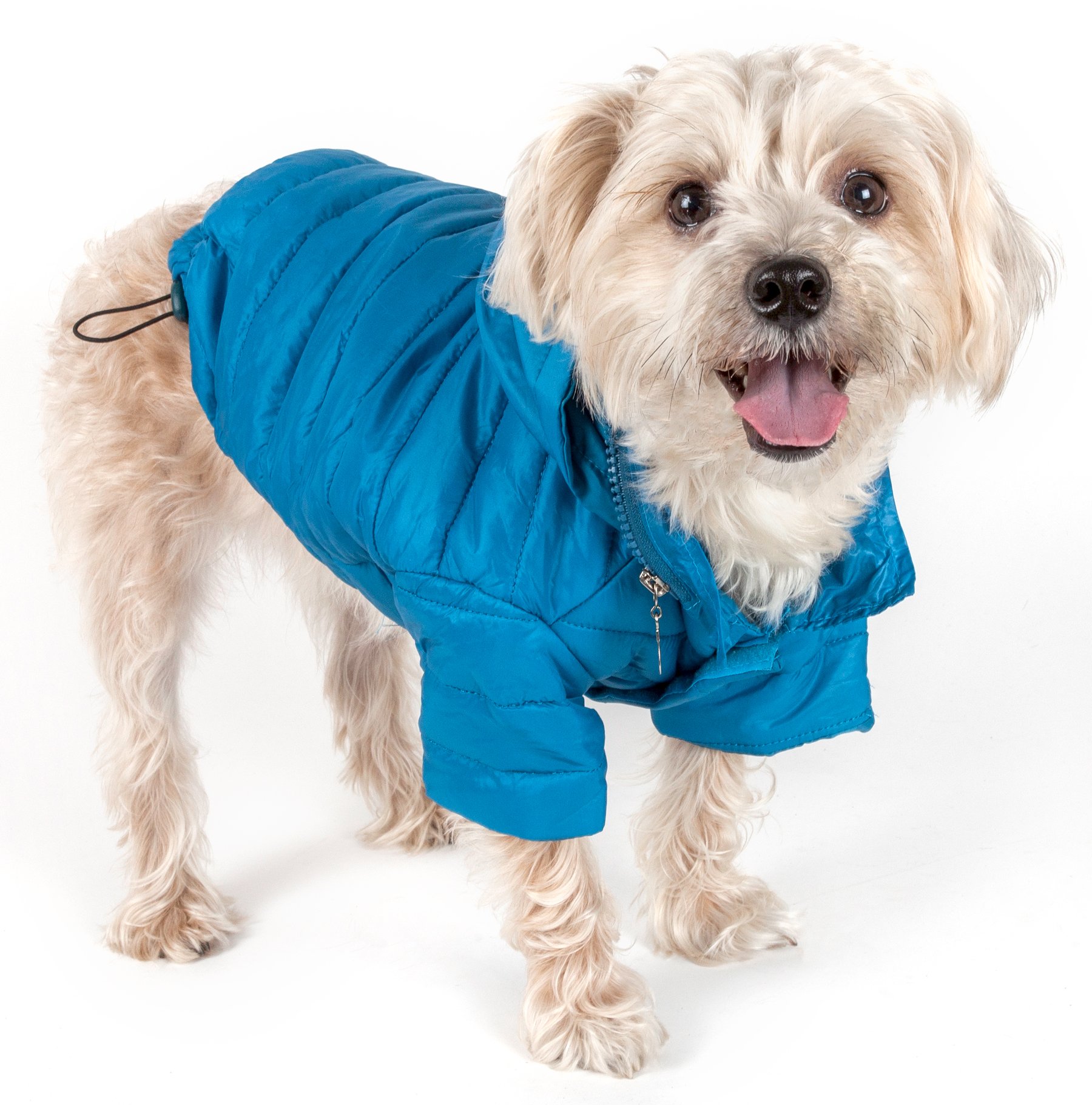 Size XL Lightweight Adjustable 'Sporty Avalanche' Pet Coat, Blue