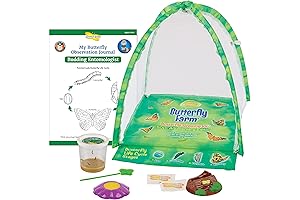 Educational LittleLive Caterpillar Butterfly Farm