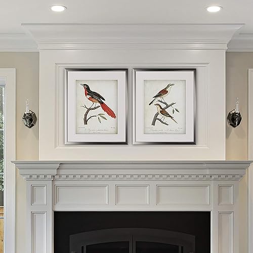 Miniatura 3 de Wexford Home Vintage Aviary Sketch XII - Juego de 2 piezas - Marco plateado impresión artística