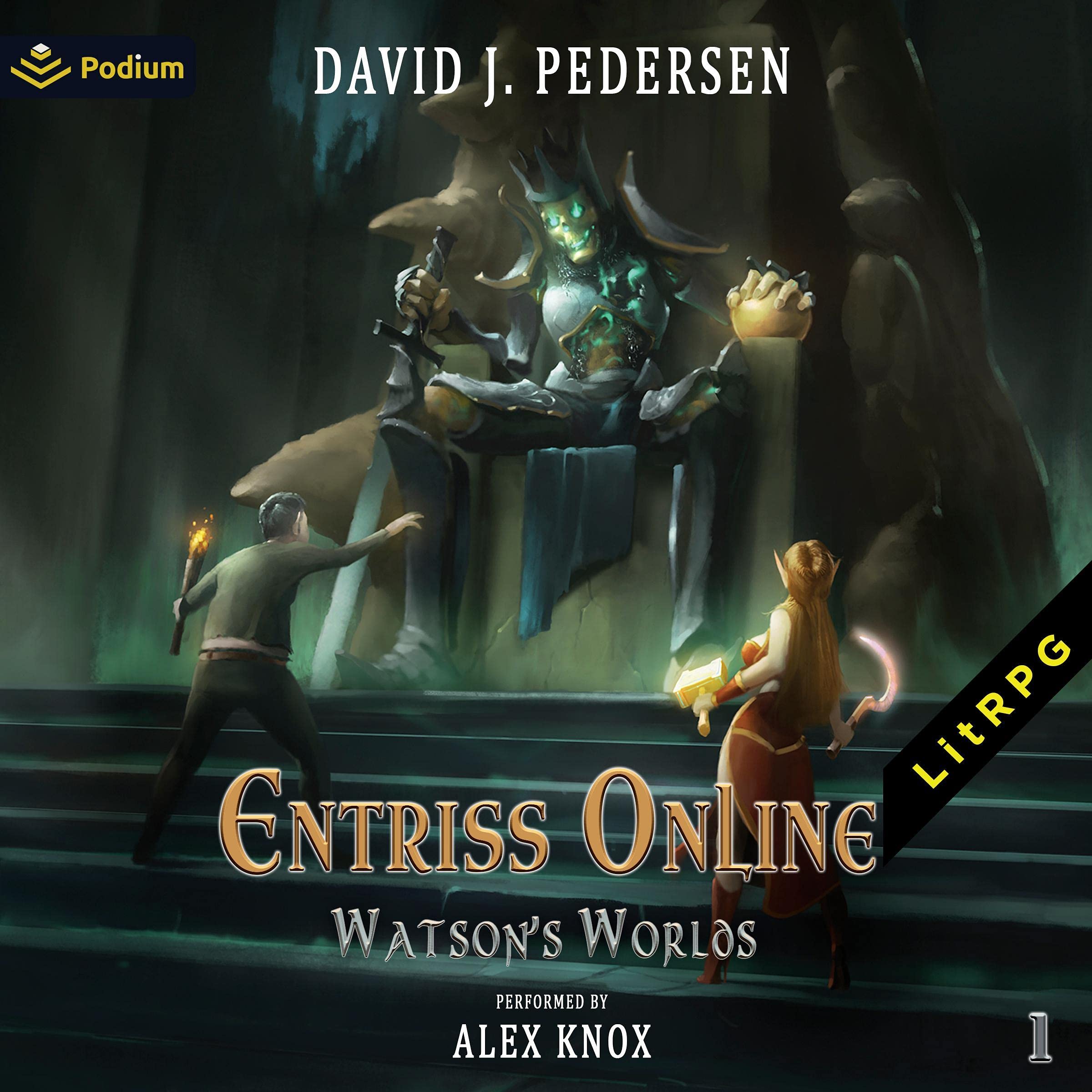 Cover art for Entriss Online: A LitRPG Adventure