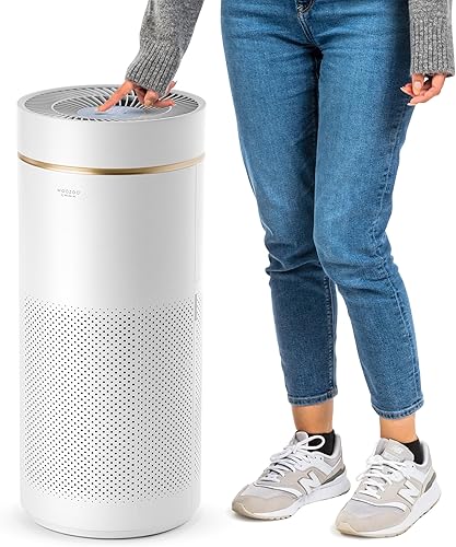 IRIS USA WOOZOO True HEPA Purificador de aire, filtro H13 elimina el 99.97% de las partículas, polen, caspa de mascotas, humo y olores. Cubre hasta