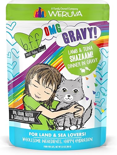 Vista 25 de Weruva B.F.F. OMG - Best Feline Friend Oh My Gravy!, Booya! - Alimento para gatos con carne de res y pollo en salsa, bolsa de 2.8 onzas
