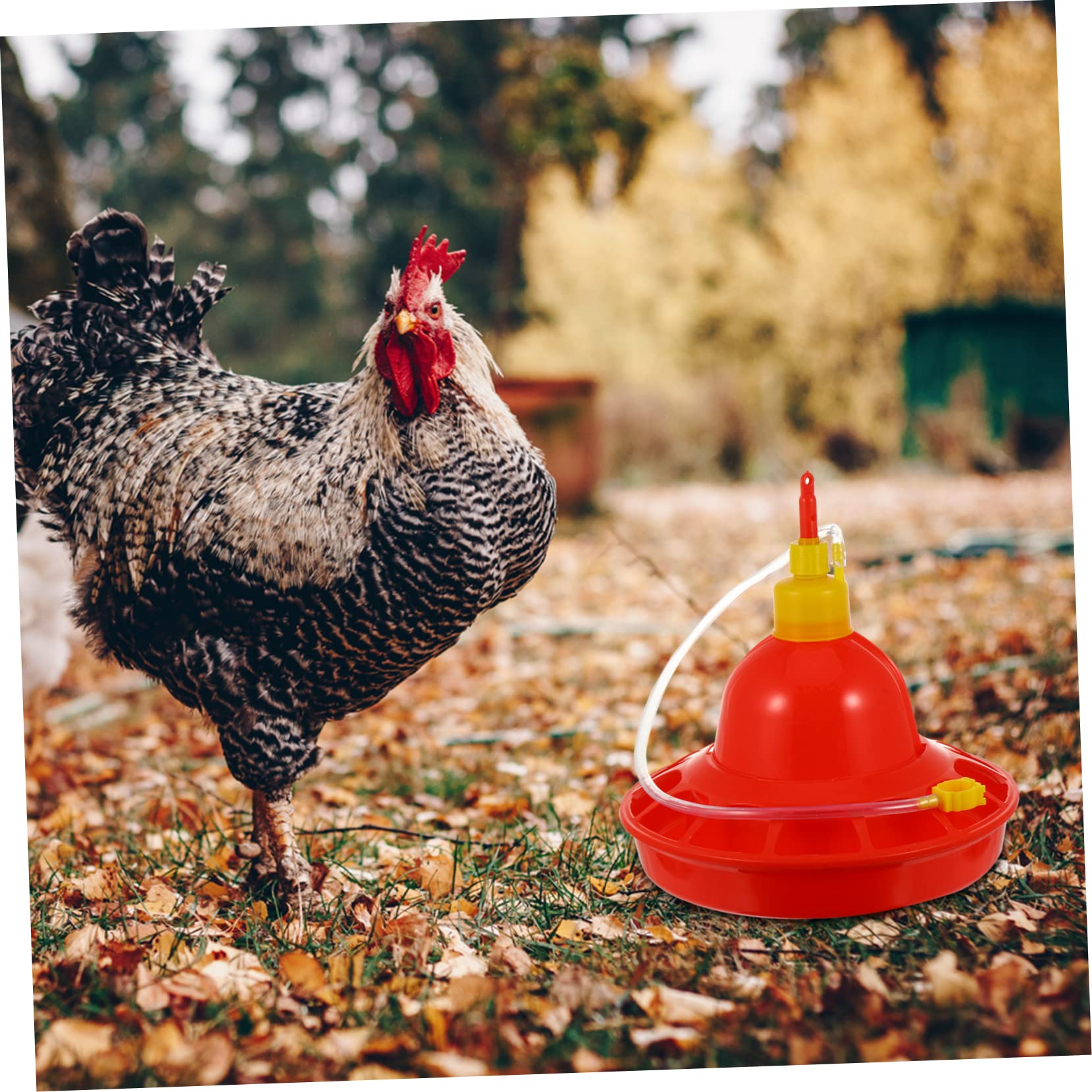 HANABASS Abbeveratoio Automatico per Pollame e Galline in Plastica Rossa, Erogazione Costante Dell'acqua, Resistente al Calore, per Uso Esterno e Domestico