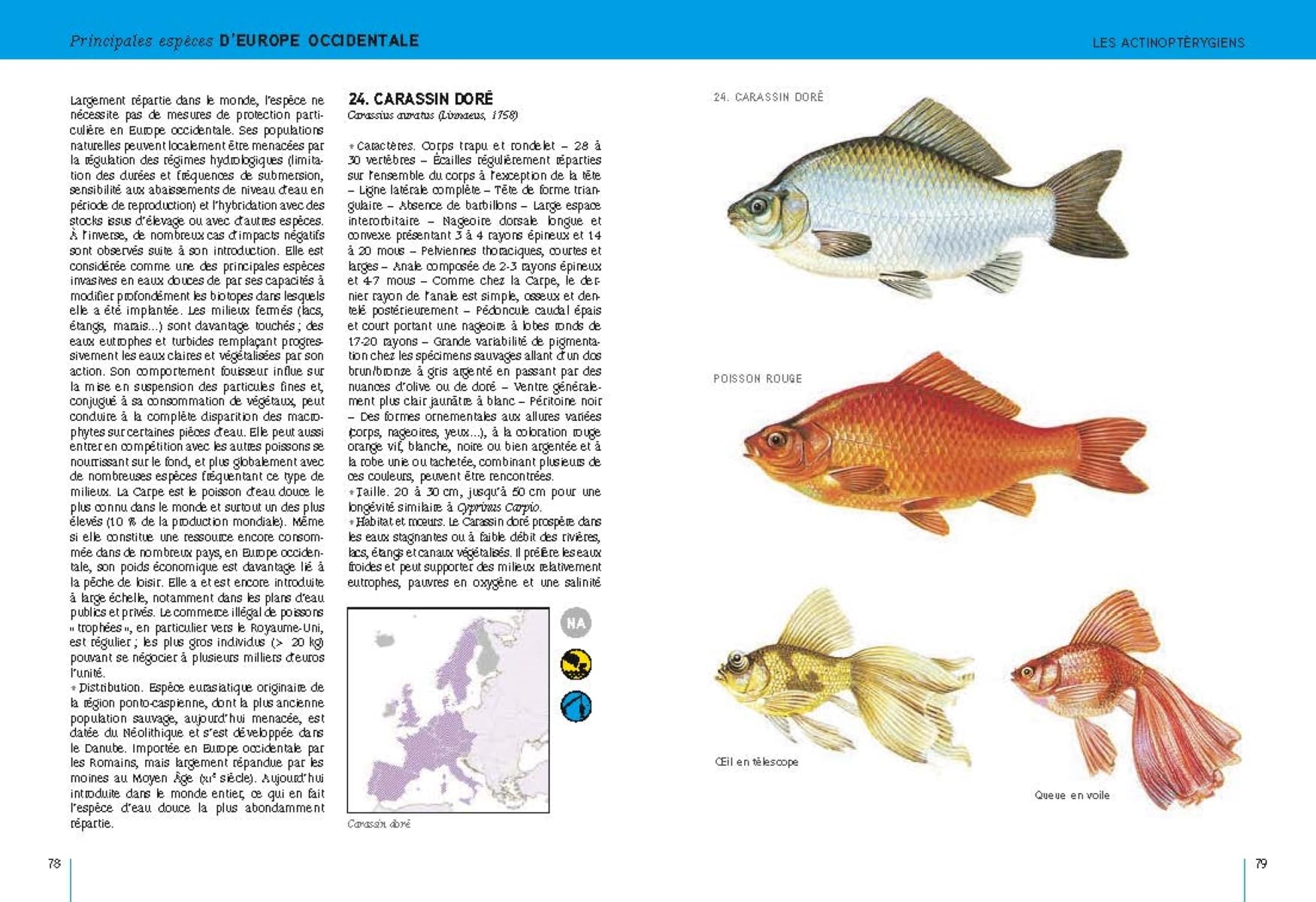 Poissons d'eau douce: d'Europe occidentale tempérée et de Scandinavie