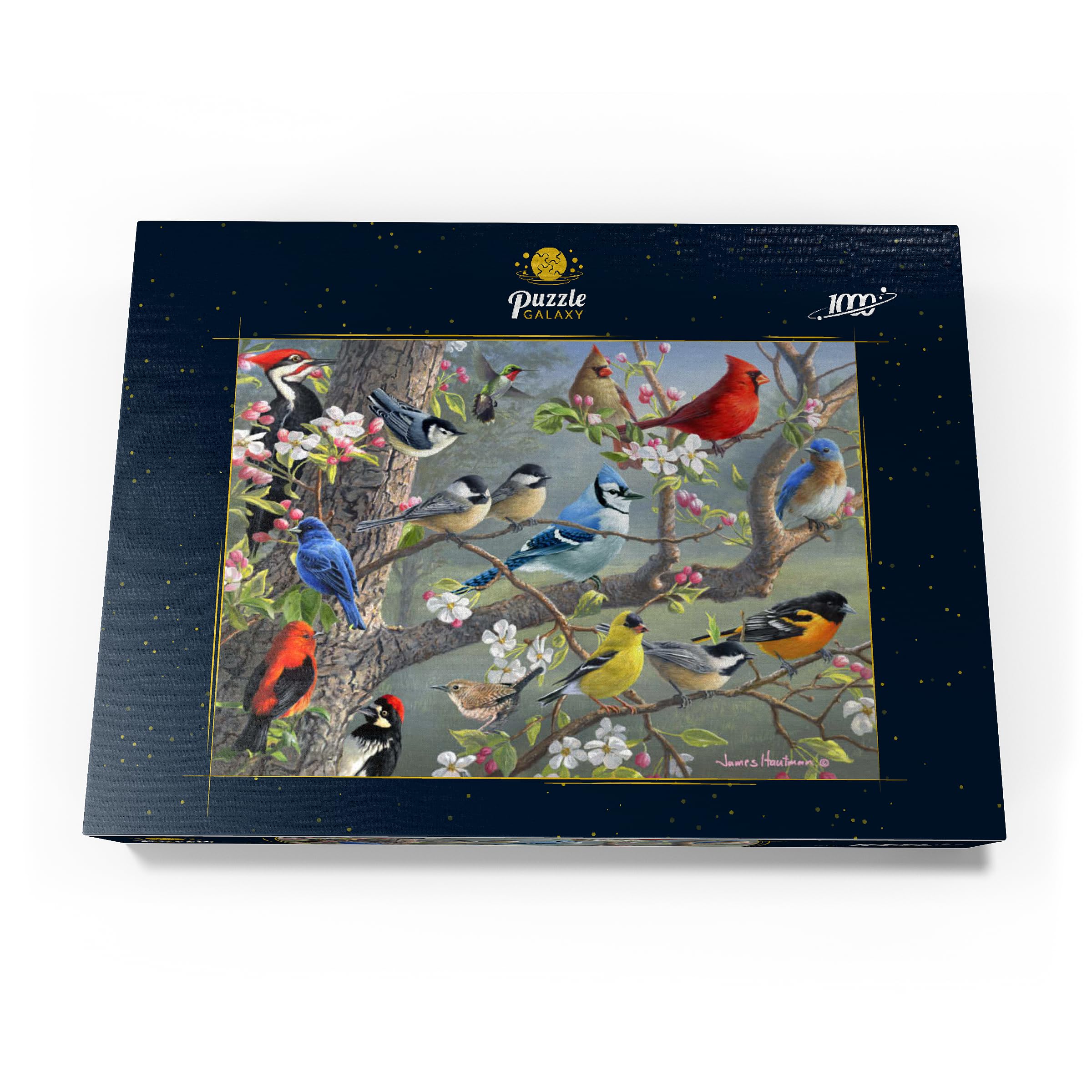 MyPuzzle Colorful Birds In The Blossom Tree - Premium 1000 Pieces Puzzle - MyPuzzle special collection from Puzzle Galaxy - Image 4