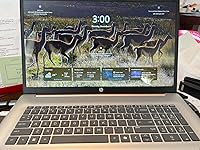 Review Image by Jenny Bagen Jenny Bagen