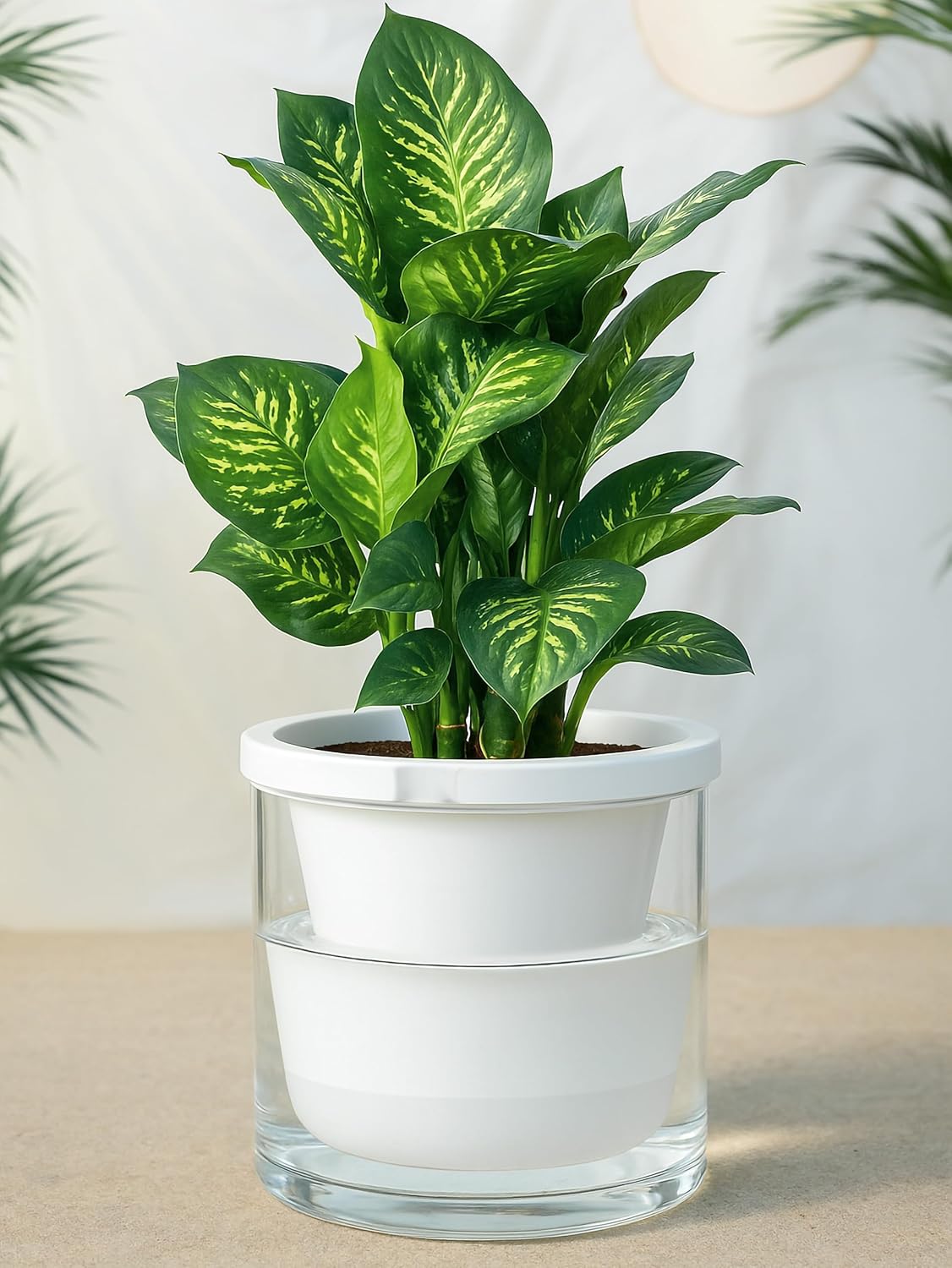 D'vine Dev 10 Inch Design Self Watering Planter for Indoor Plants, White Terracotta Pots with Cylinder Glass Cup, 37-X-D-2