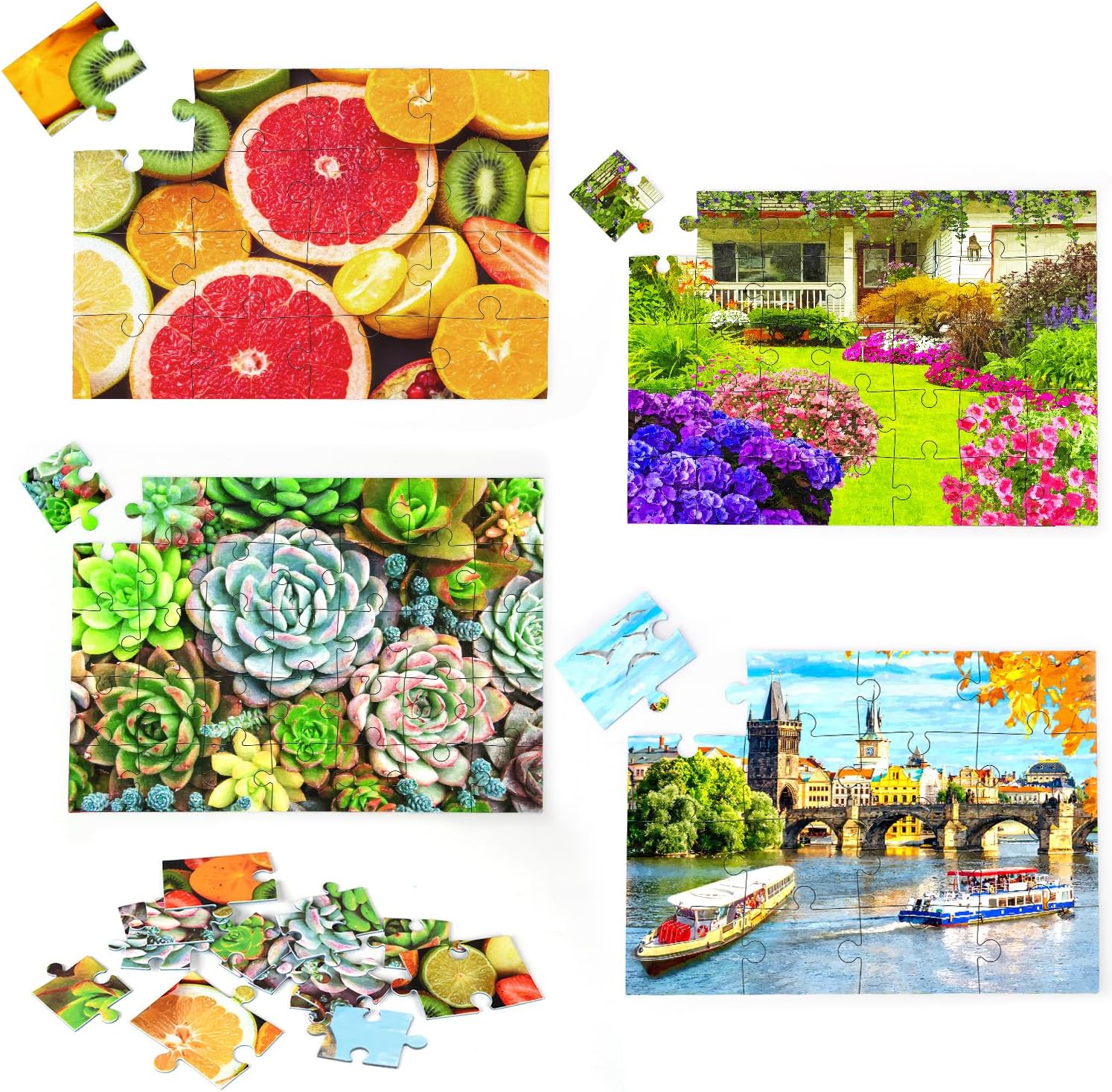 Neoflavie 4 Packs Large Piece Puzzle for Seniors 4 Style