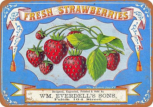 Ylens Letrero retro vintage de 8 x 12 pulgadas 1868 fresas frescas, bayas, frutas divertidas, alimentos, dulce verano, decoración de pared,
