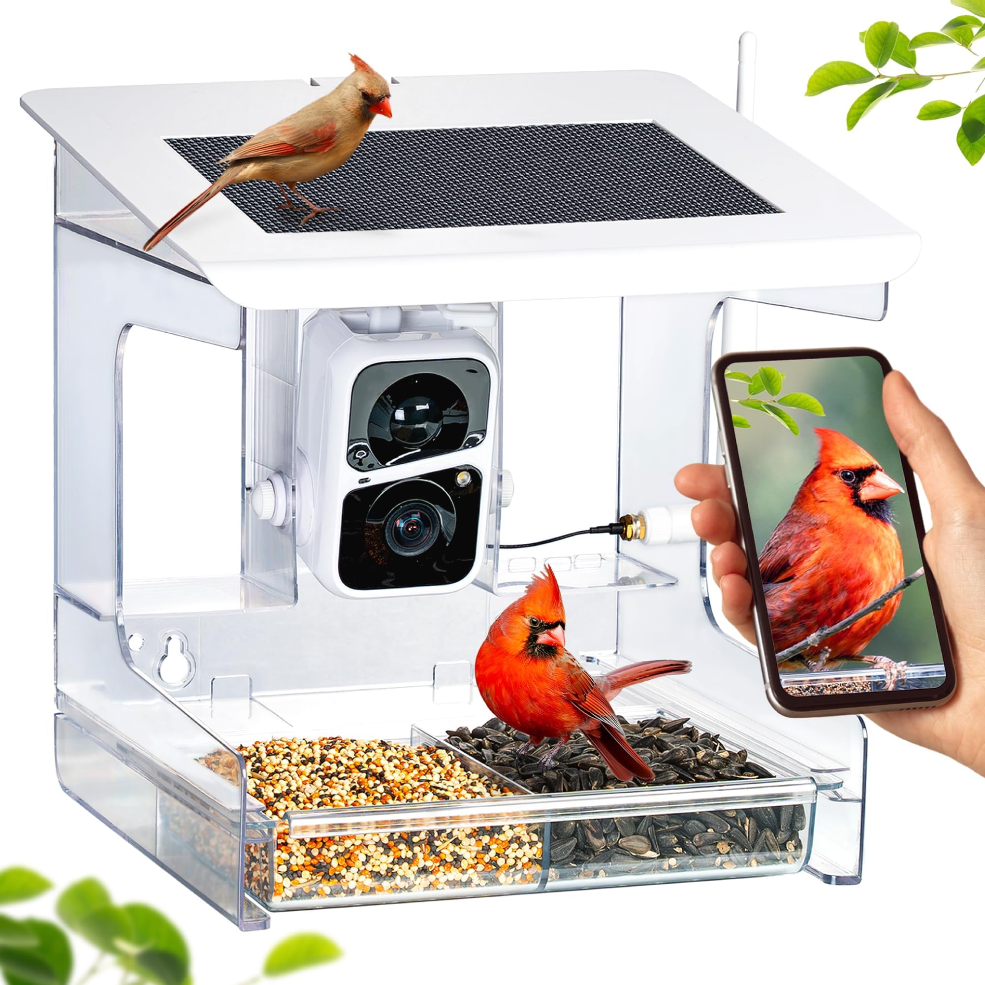 Nature Anywhere BirdCam Feeder โ Smart Bird Feeder with Camera, Sliding Feed Tray for Easy Refill, Solar-Powered, AI Bird Identification, and App Notifications for Bird Lovers