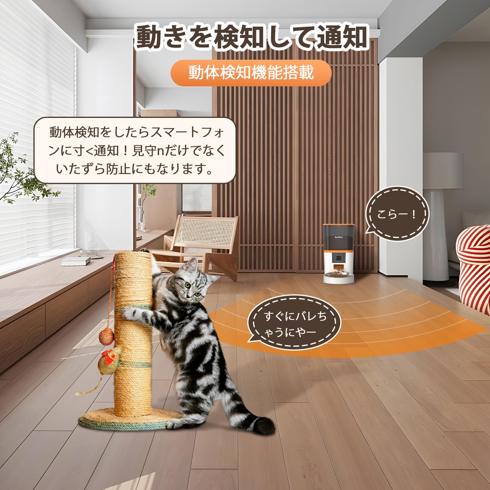 Amazon | Roilpet 自動給餌器 猫 カメラ付き 1080P 暗視機能 6L大容量