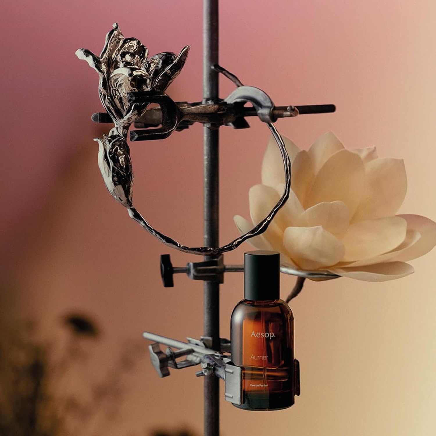 Aesop Aurner Eau de Parfum | Floral, Herbaceous, Fresh Unisex Fragrance | Floral Fragrance With Unexpected Contrasts | 1.6oz / 50mL - Image 4