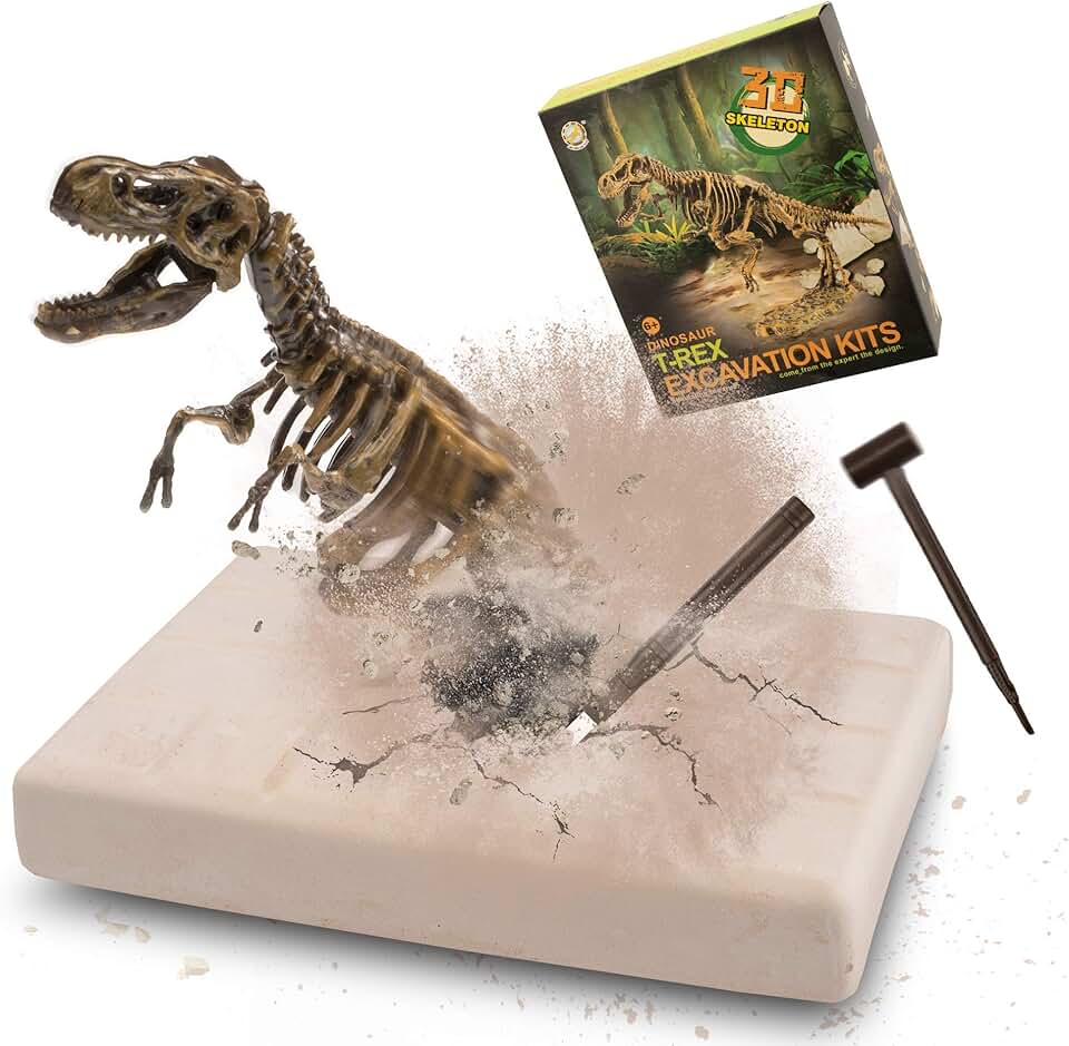 Suchergebnis auf Amazon.de für: Dinosaurier Skelett zum Zusammenbauen