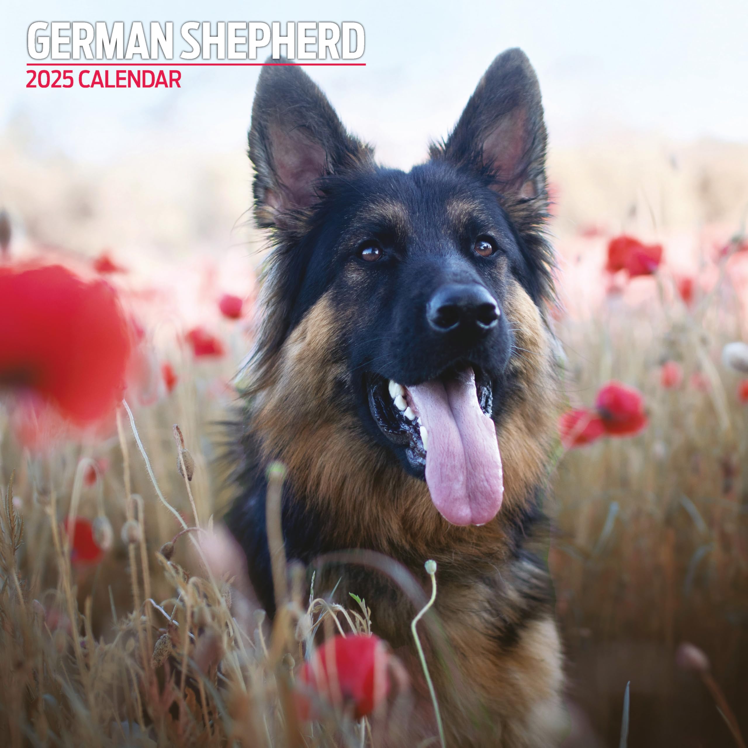 German Shepherd 2025 Traditional Calendar