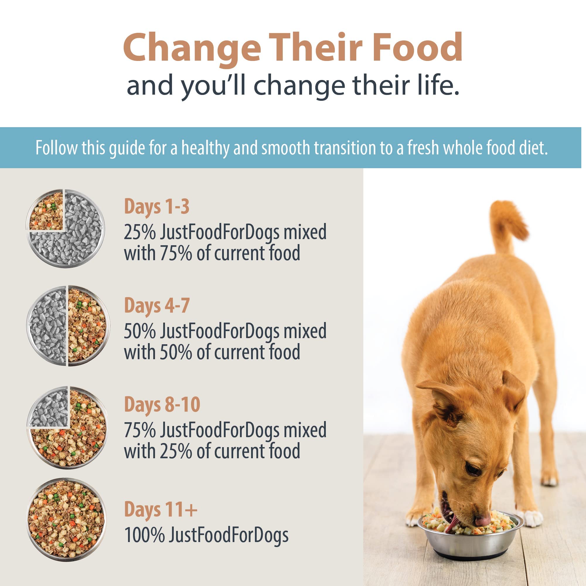 How Long To Mix Dog Food Before Switching