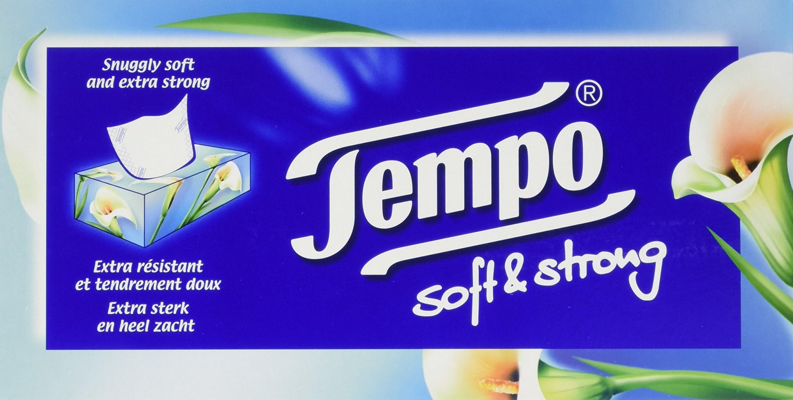 Soft and Strong Regular Tissues (Pack of 6, Total 480), 2849537