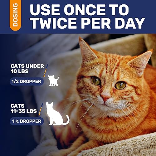 Miniatura 5 de Antibiotics for Cats in Drops  at Respiratory Infection Treatment Cold, Cough, and Allergies  Cat UTI Treatment with Turkey Flavor  May Support Hips