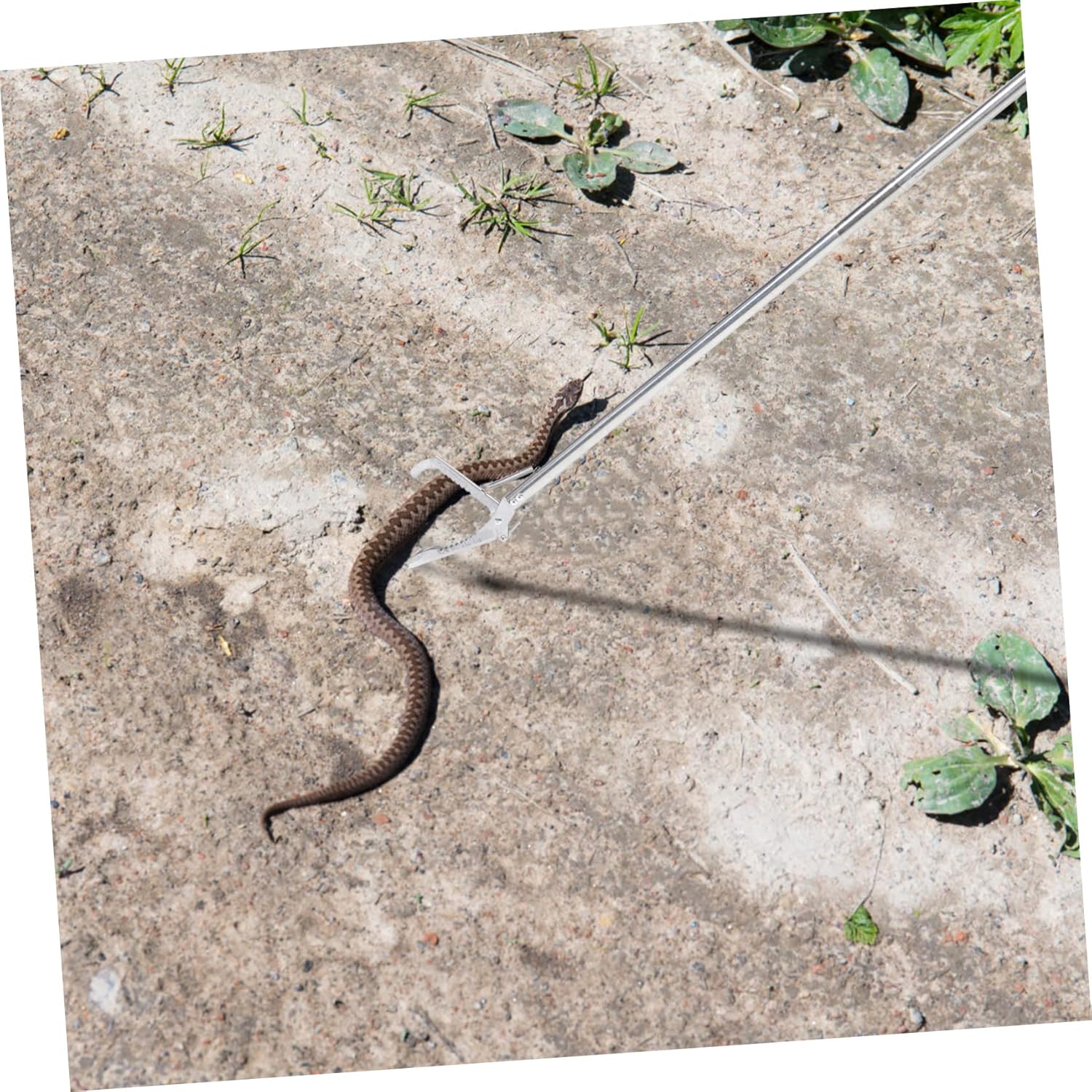 HANABASS 1.2m Stainless Steel Snake Grabber Tool Folding Snake Catcher with Lock Lightweight and Durable for Safe Handling Outdoors