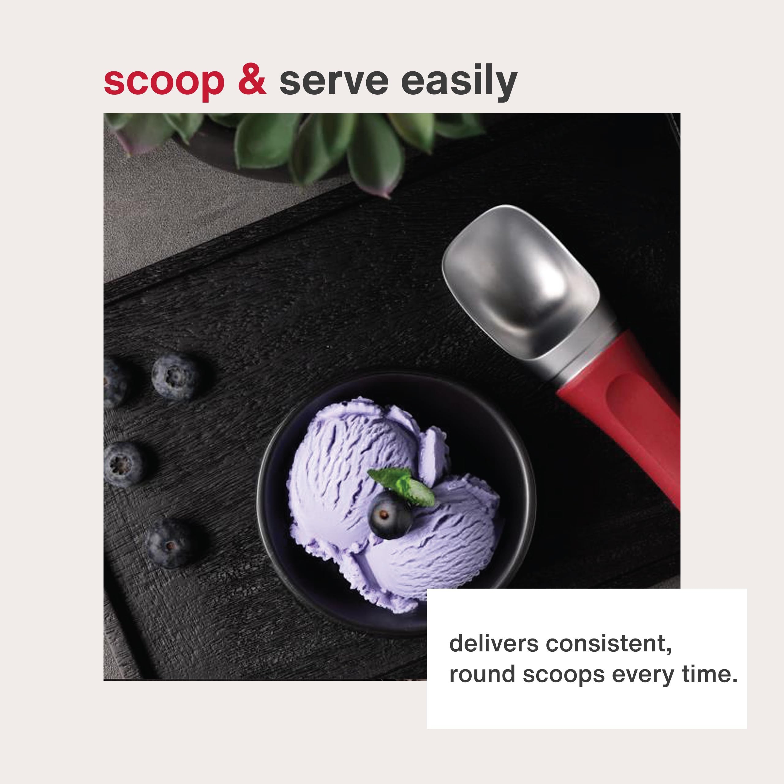 Amazon.com: Zyliss Ice Cream Scoop - Stainless Steel Ice Cream