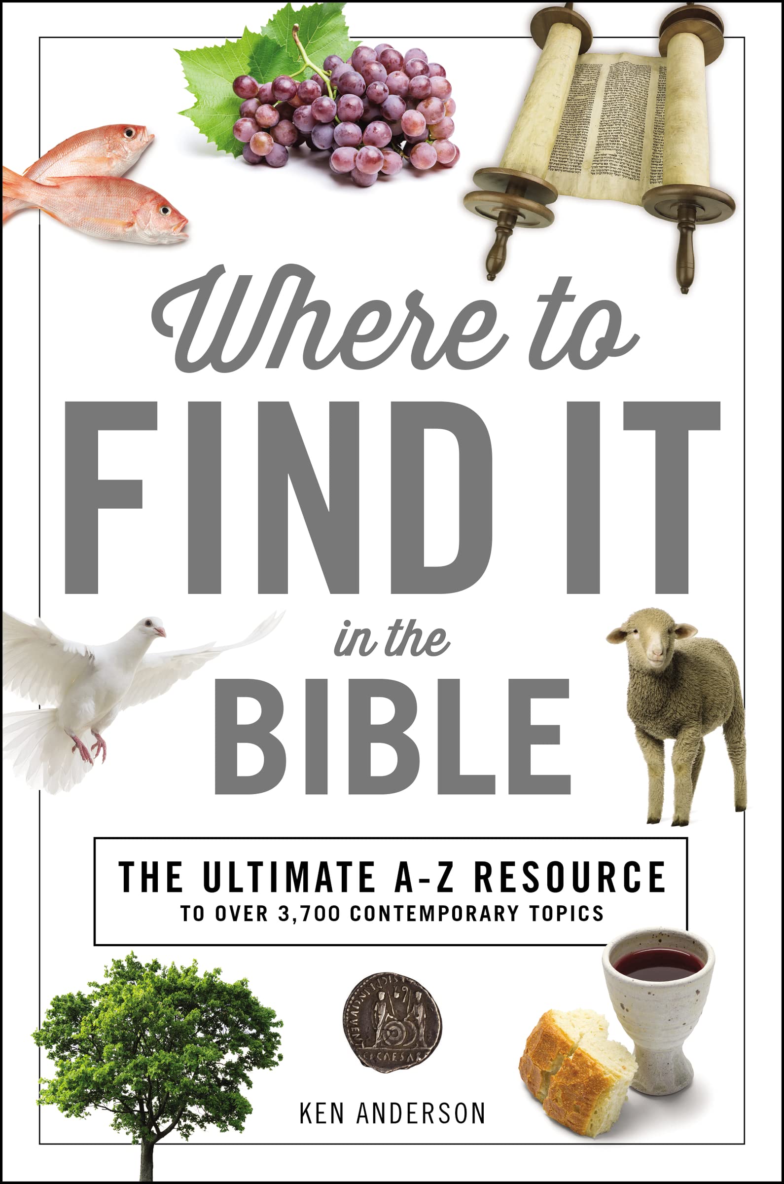 Where to Find It in the Bible: Topical Index for Quick-and-Easy Reference (A to Z Series)