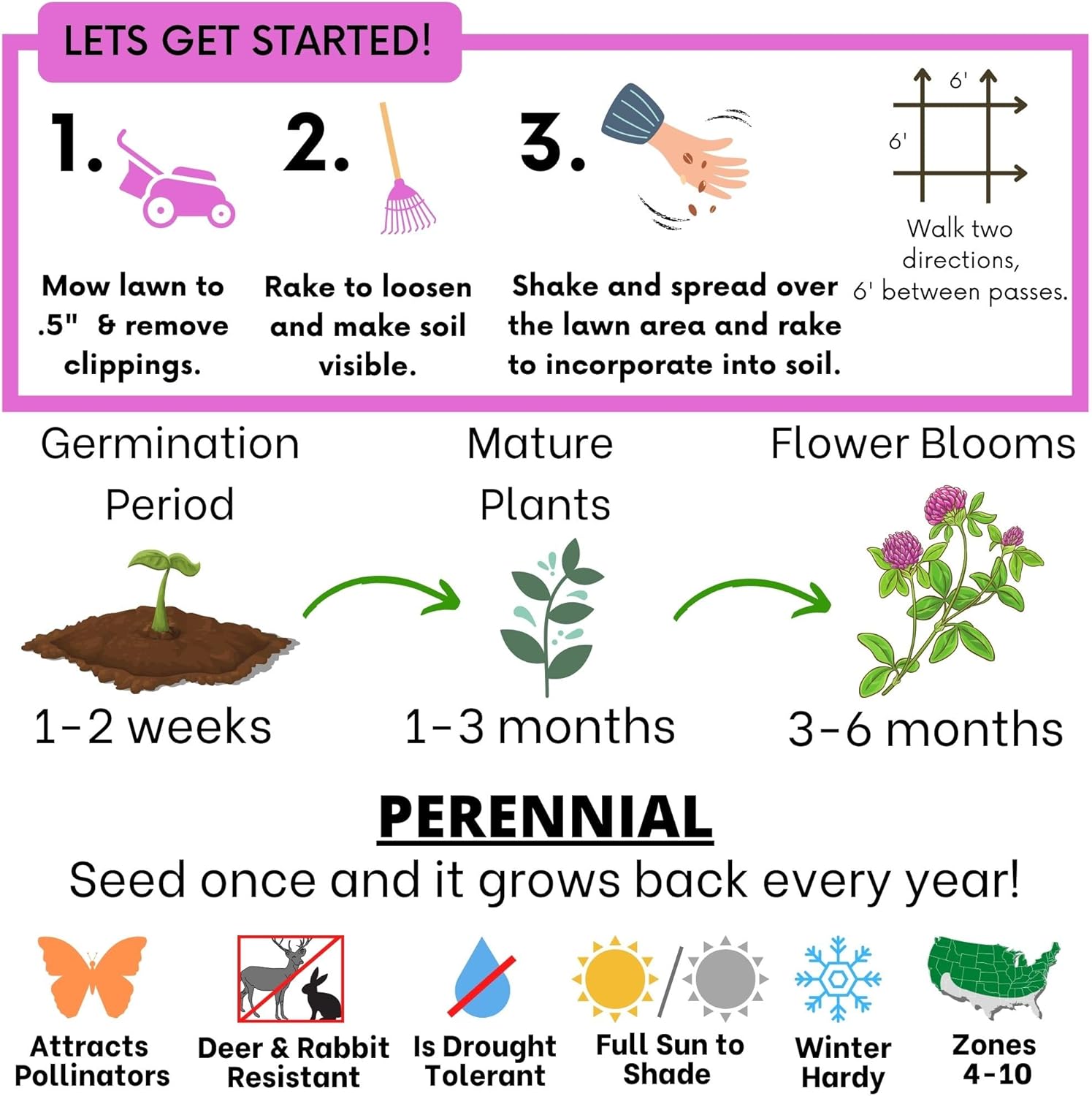 Flawn Seed Kits Medium Red Clover Seed, 2 Lbs, Drought Tolerant, Flower Meadow, Attracts Pollinators, Kraft Zipper Pouch, Covers Up to 7,200 Sqft