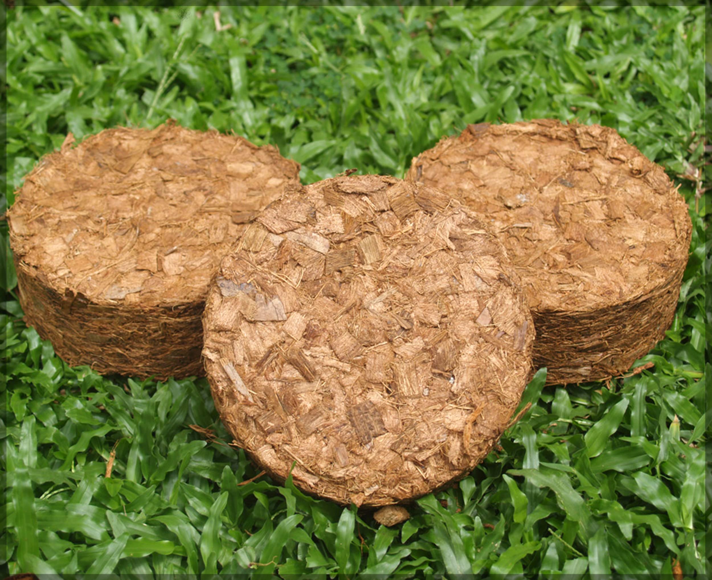 Organic Coir Husk Chips Disc/Coir Brick/Cocopeat Husk for Potting Soil Mix/Orchids Potting Media - GardenHunt (60 MM, 20) (B0B252L9BC) Amazon Price History, Amazon Price Tracker