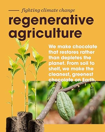 Alter Eco Dark Chocolate Granola, Healthy, Organic Breakfast & Snack, Naturally Sweetened with Fruit, Vegan, No Artificial Sugars or Additives, Regeneratively-Farmed Oats (Dark Chocolate - 6 Pack)
