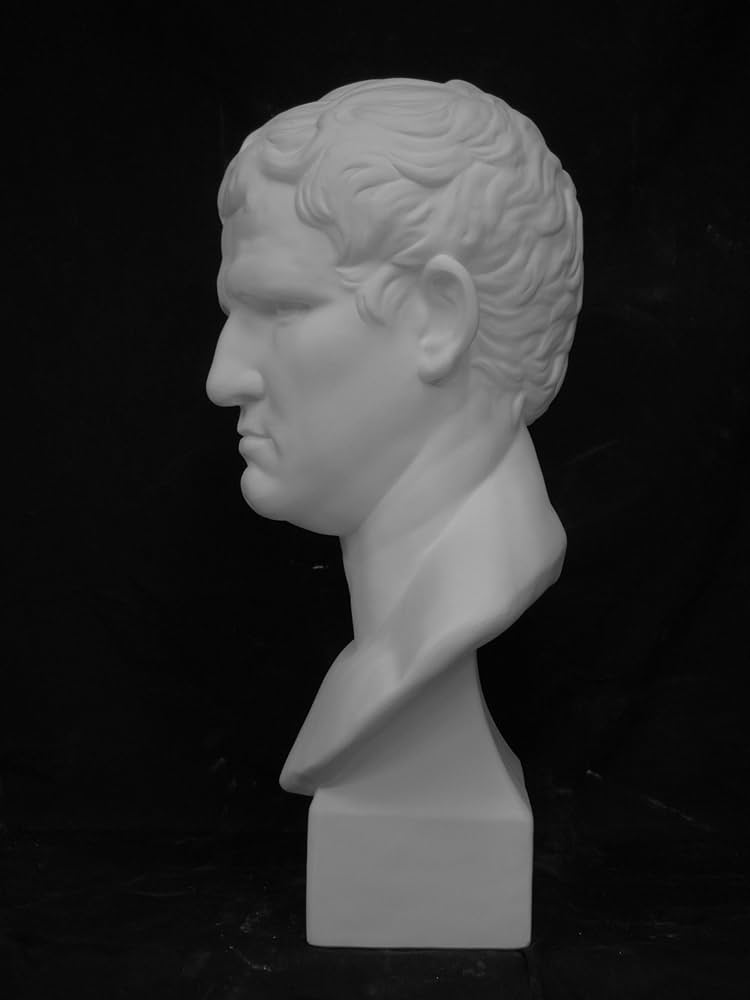 81BdsYL2-cL._AC_UF894,