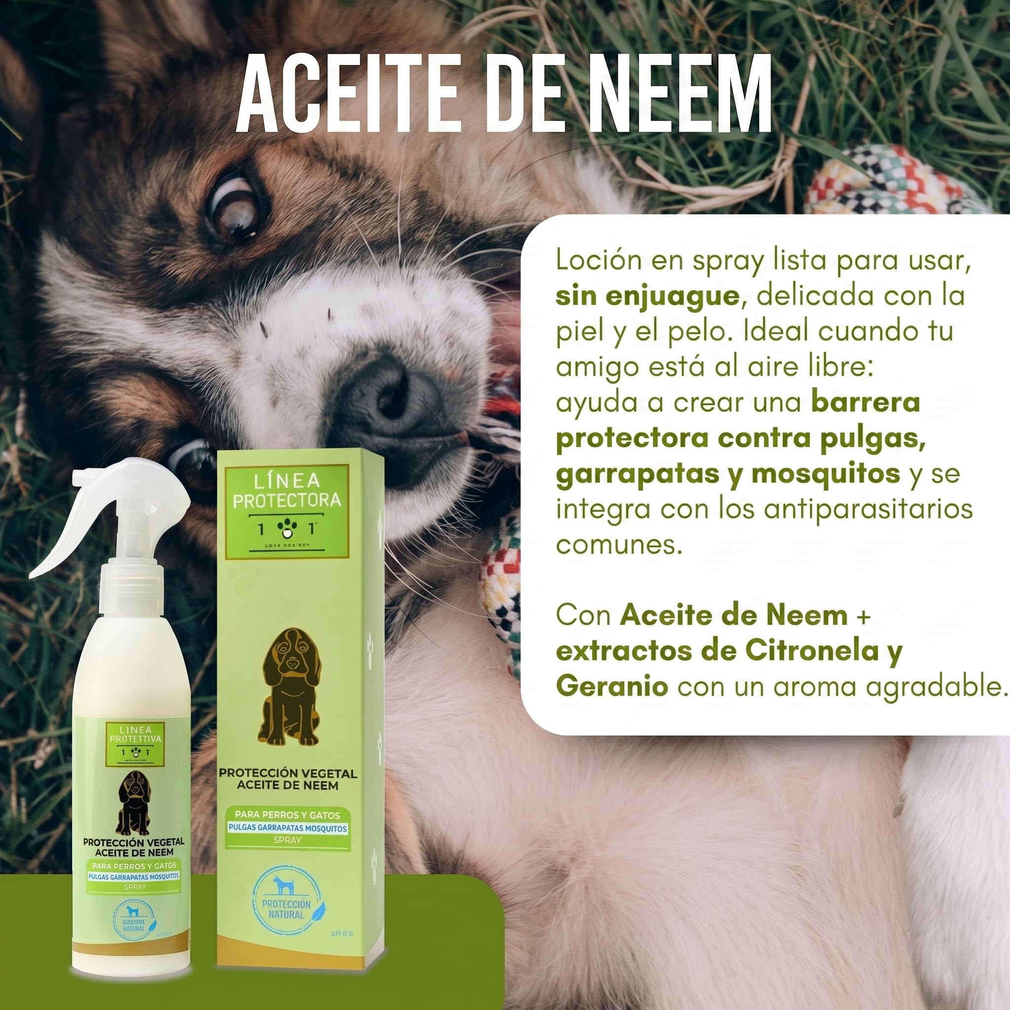 Spray Antiparasitario Perros y Antipulgas Gatos Natural 250ml con Aceite de Neem, Citronela y Geranio, Repelente Garrapatas, Anti Pulgas y Garrapatas Perros Listo para Usar