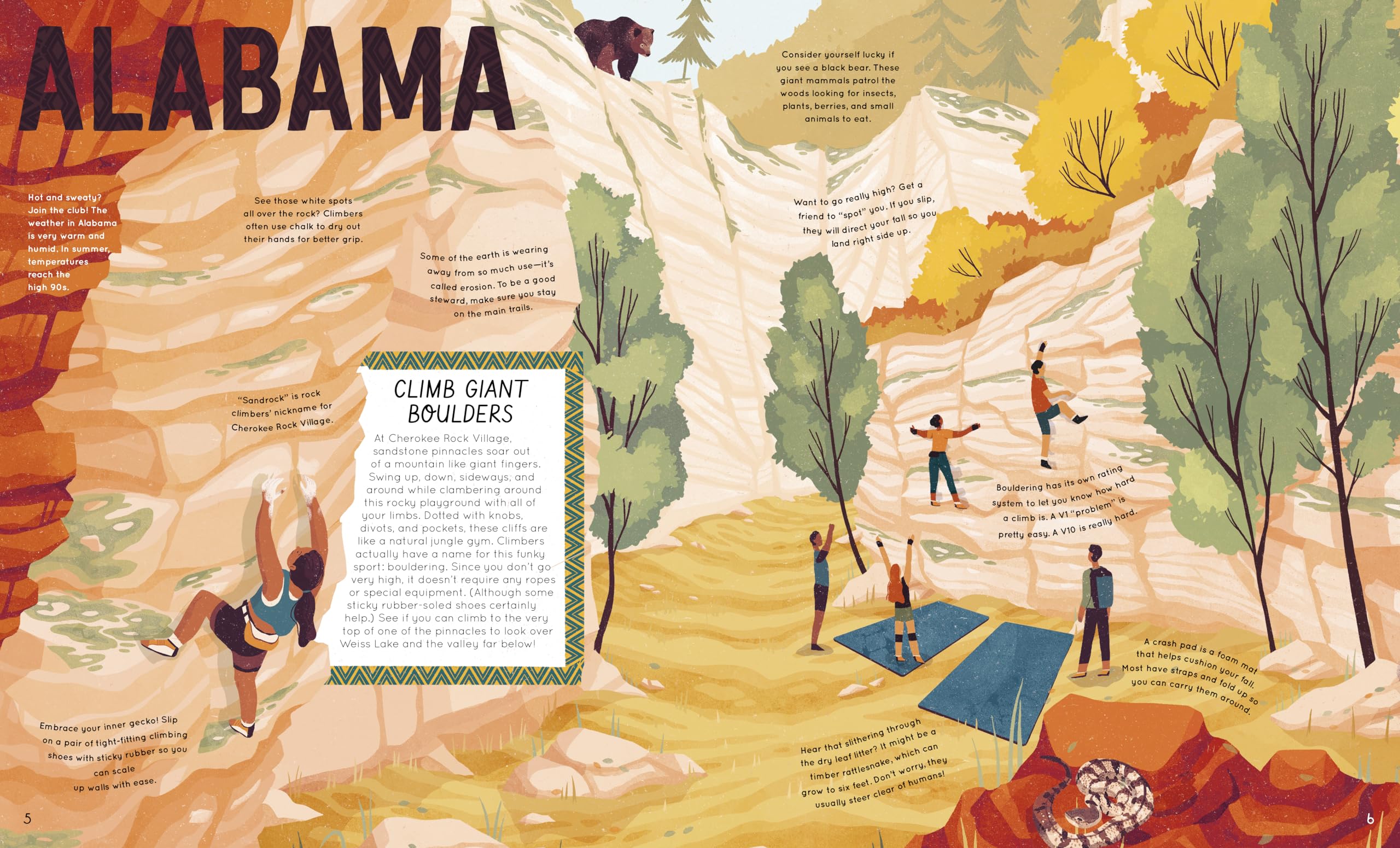 50 Adventures in the 50 States (Americana) - Image 4