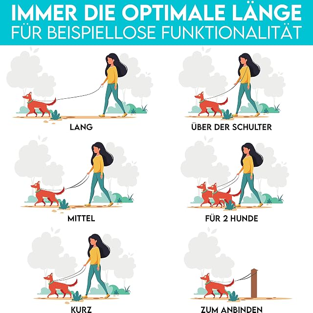 Foto 7 de 7 de HUND IST KÖNIG Correa para perros ajustable de 2,3 m, resistente con mosquetón de seguridad