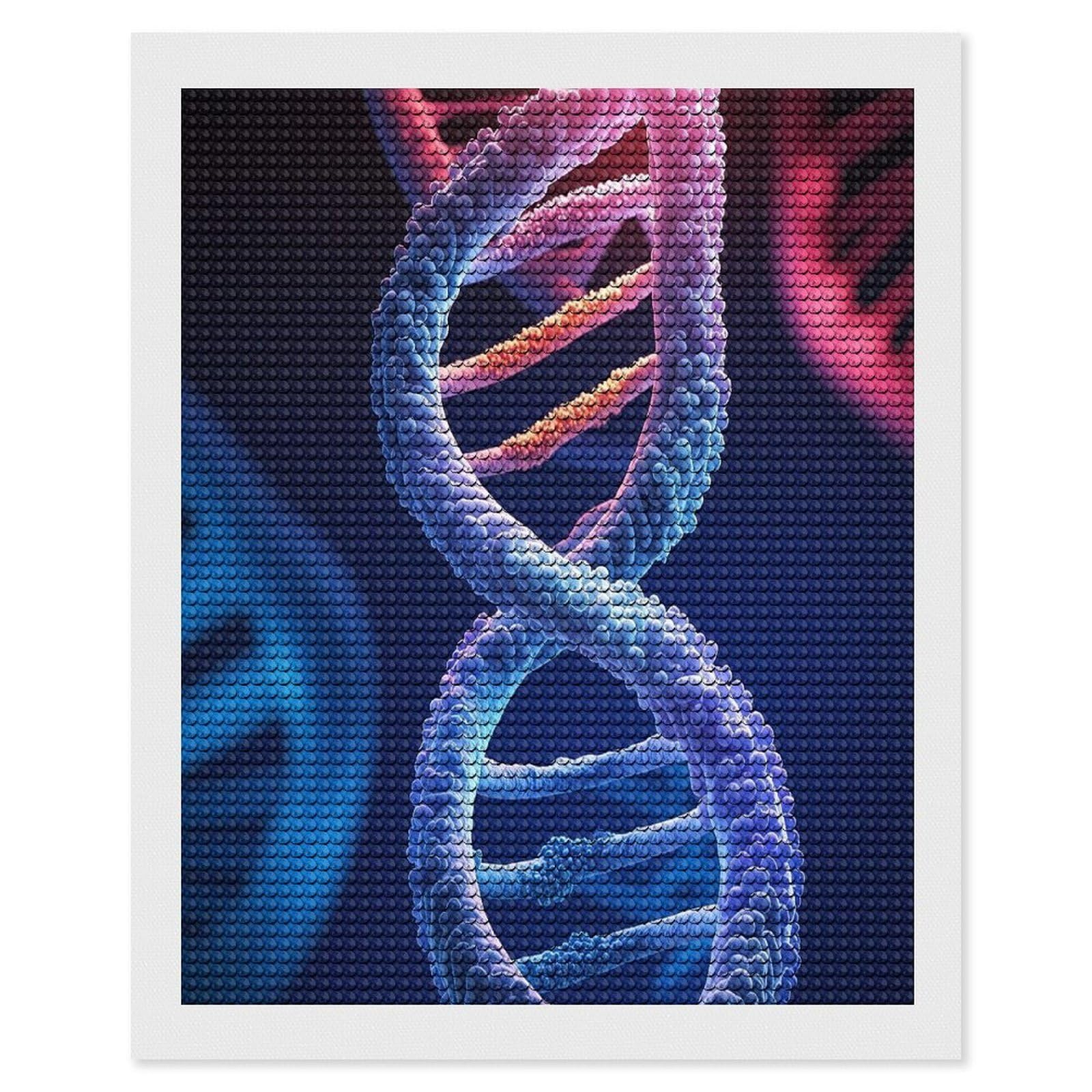 FekiLoot DNA Genetic Helix Diamond Painting Kits for Beginners DIY Diamond Art Kits for Adults Full Drill Round Diamond Dot Gem Art Painting Fun DIY Crafts for Home Kitchen Wall Decor Gift 16"x20"