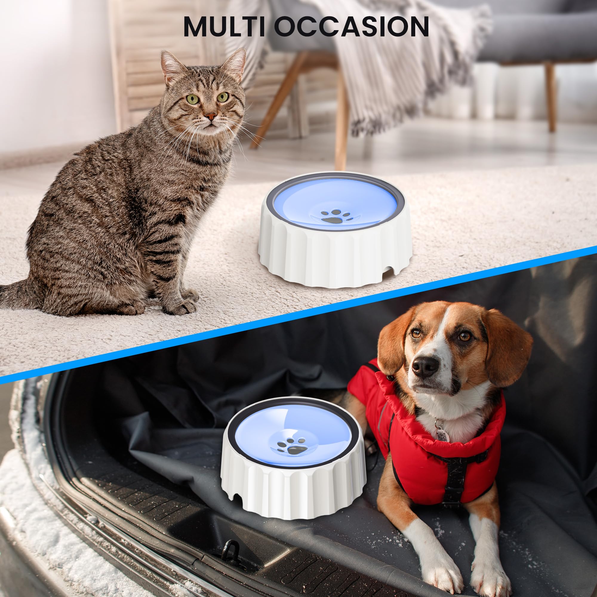 View 6