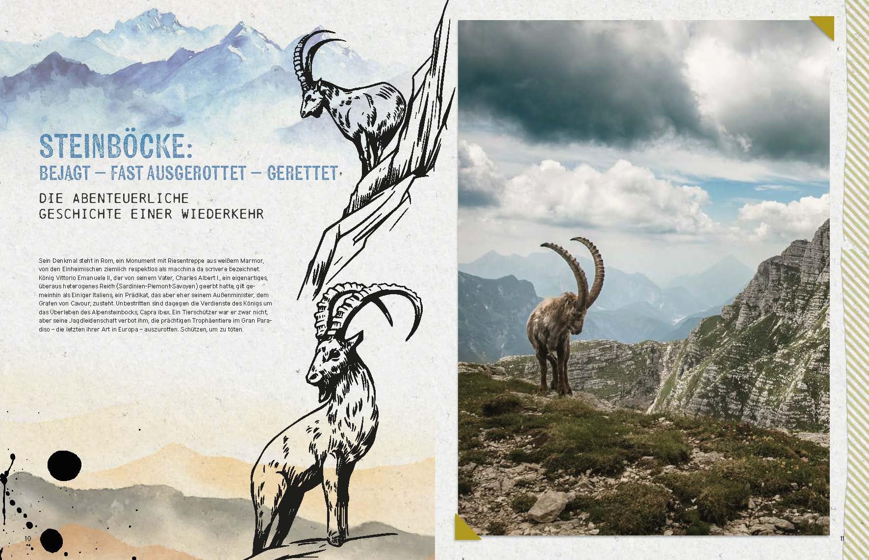 Die Alpen-Bibel: Alles zu Natur, Geschichte und den Menschen in den Bergen – Entdecken Sie die faszinierende Welt der Alpen im einzigartigen Bildband.
