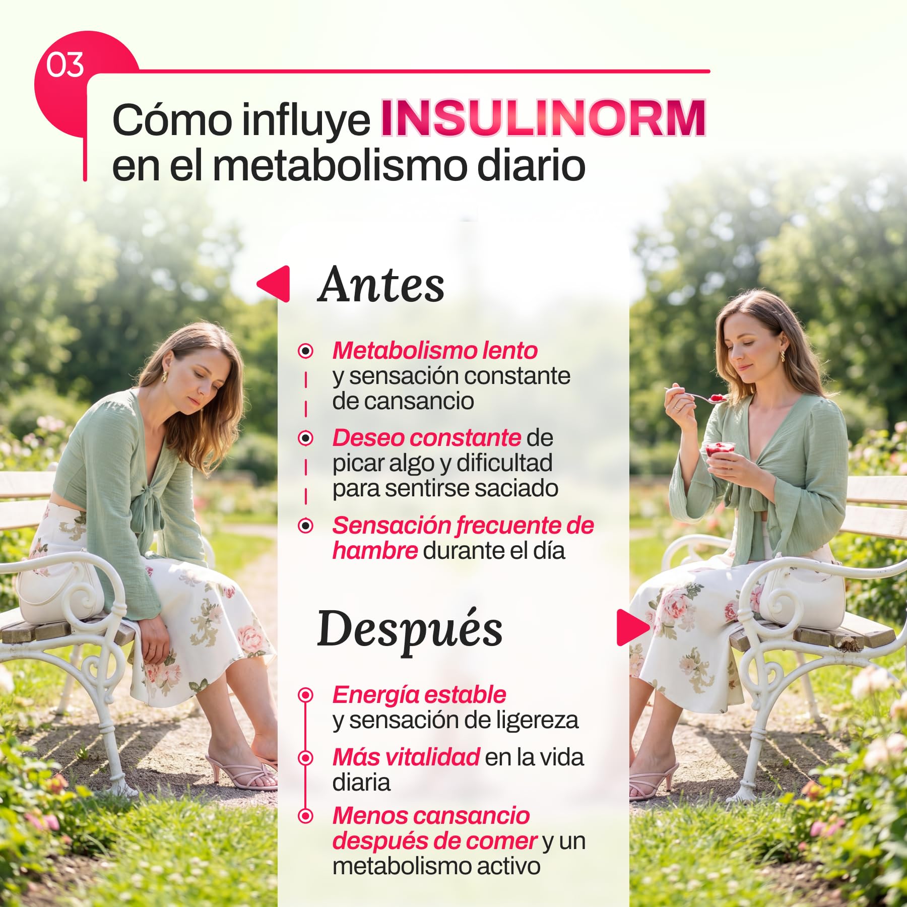 Cápsulas INSULINORM | con Berberina 40 mg, Shiitake 600 mg, Té Verde 400 mg | Mantenimiento de Niveles Normales de Azúcar en Sangre | 30 Cápsulas