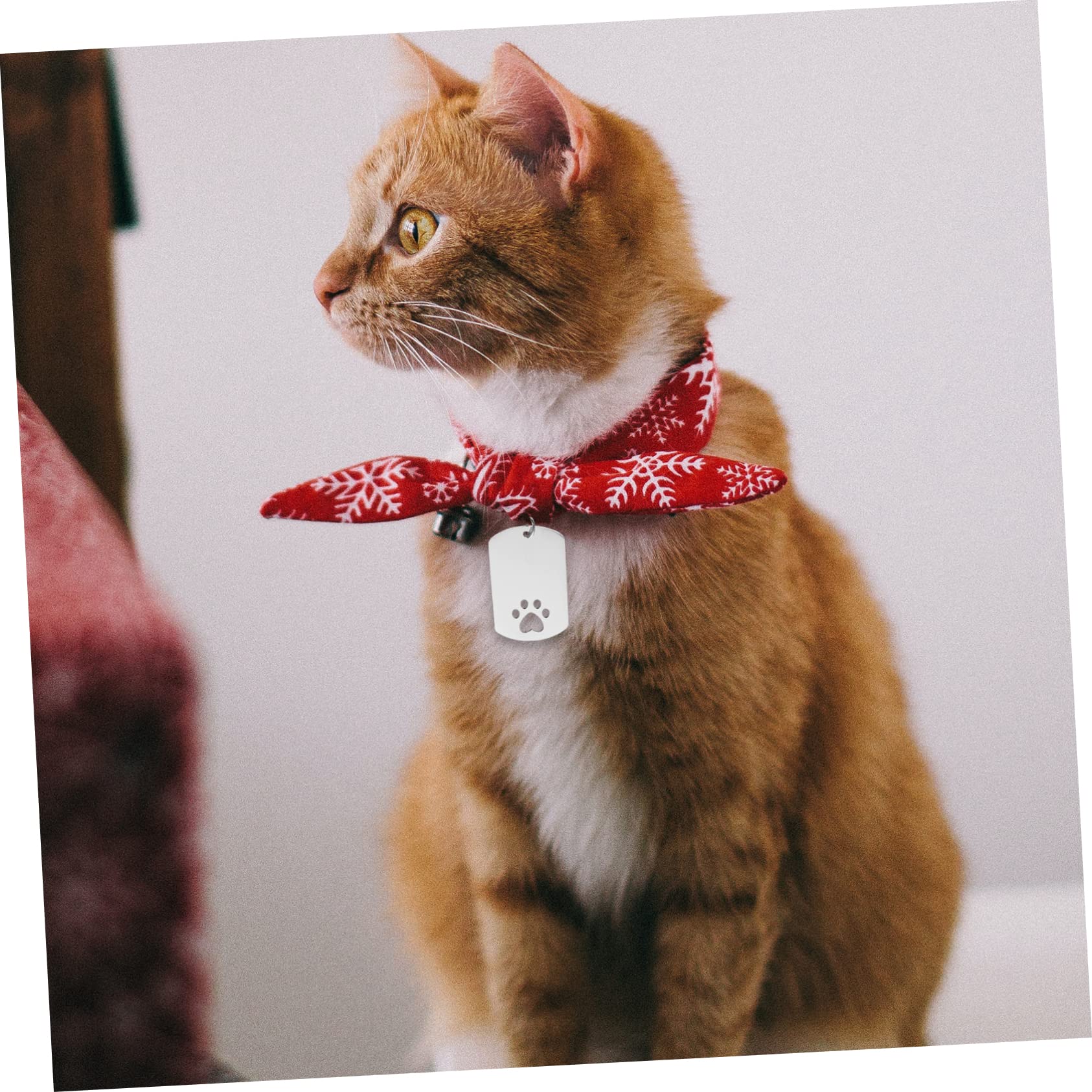 FRCOLOR 20 Pz Medaglietta Per Cani Medagliette a Sublimazione Stampaggio Di Animali Domestici Etichetta Sublimazione Piastrine Sbozzate Piccoli Animali Acciaio Inossidabile Scritte