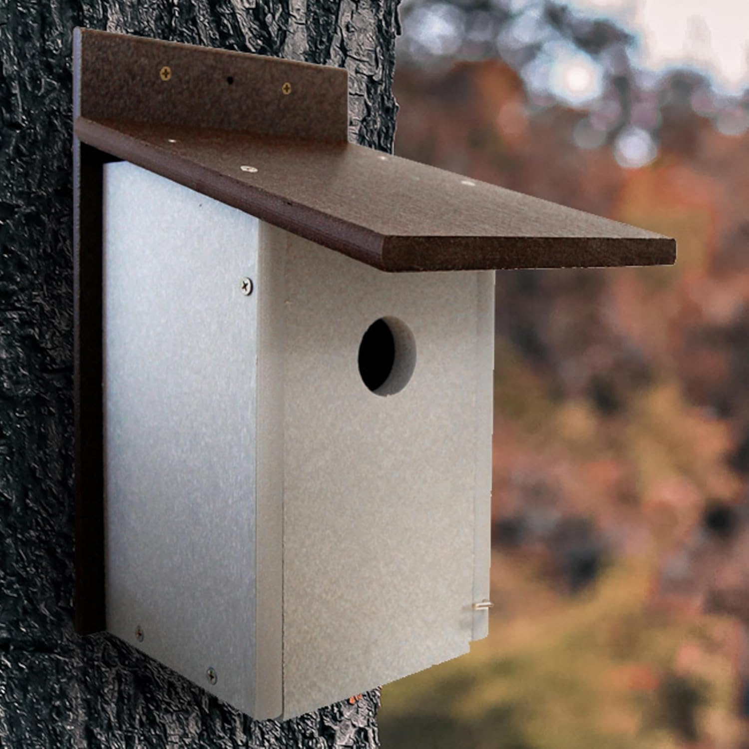 Premium Recycled Bluebird House by Prime Retreat, Brown and Gray