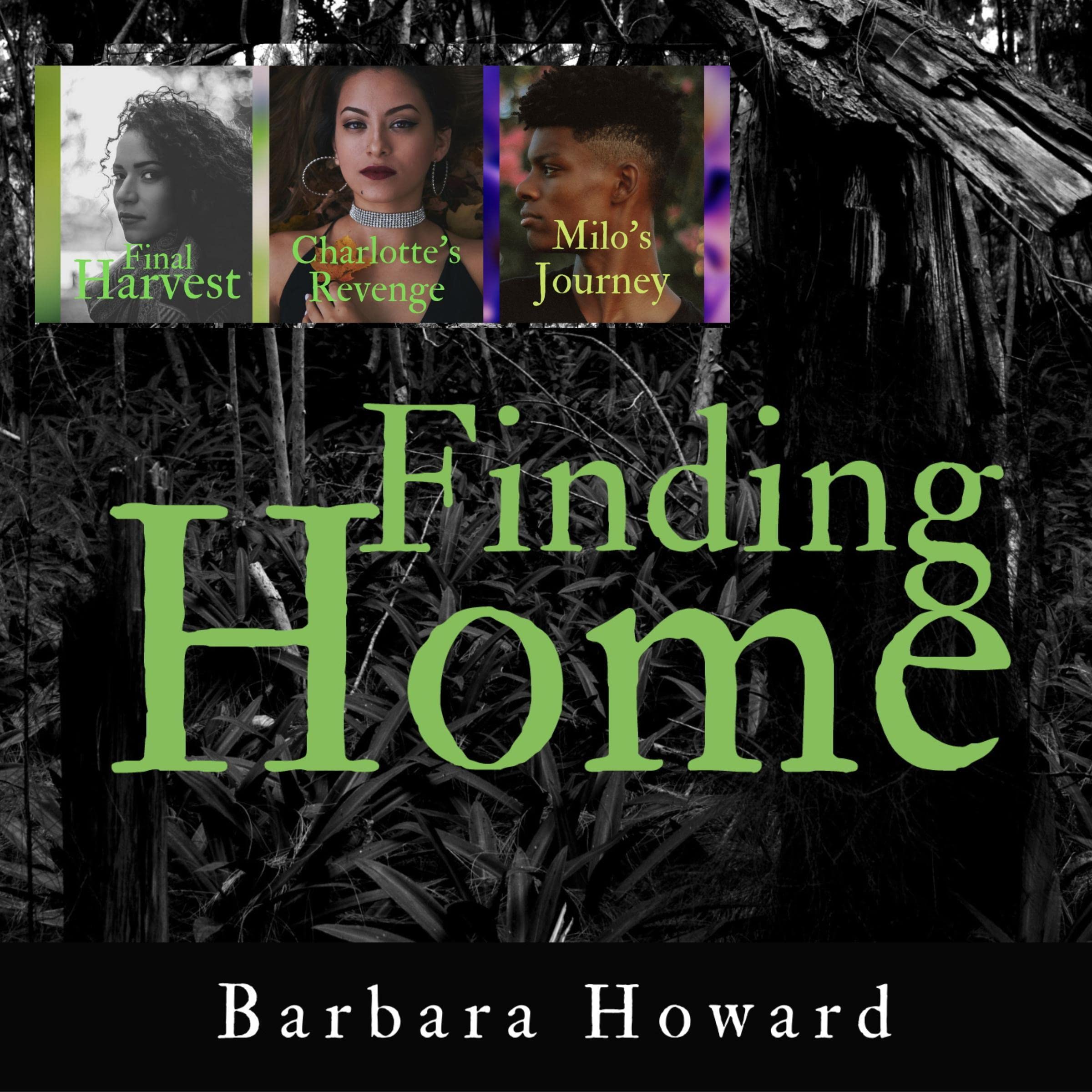 Finding Home Mystery Series: Three Stories
