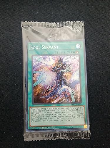 Soul Servant - LDS3-EN095 - Duelistas legendarios: temporada 3 - Secret Rare