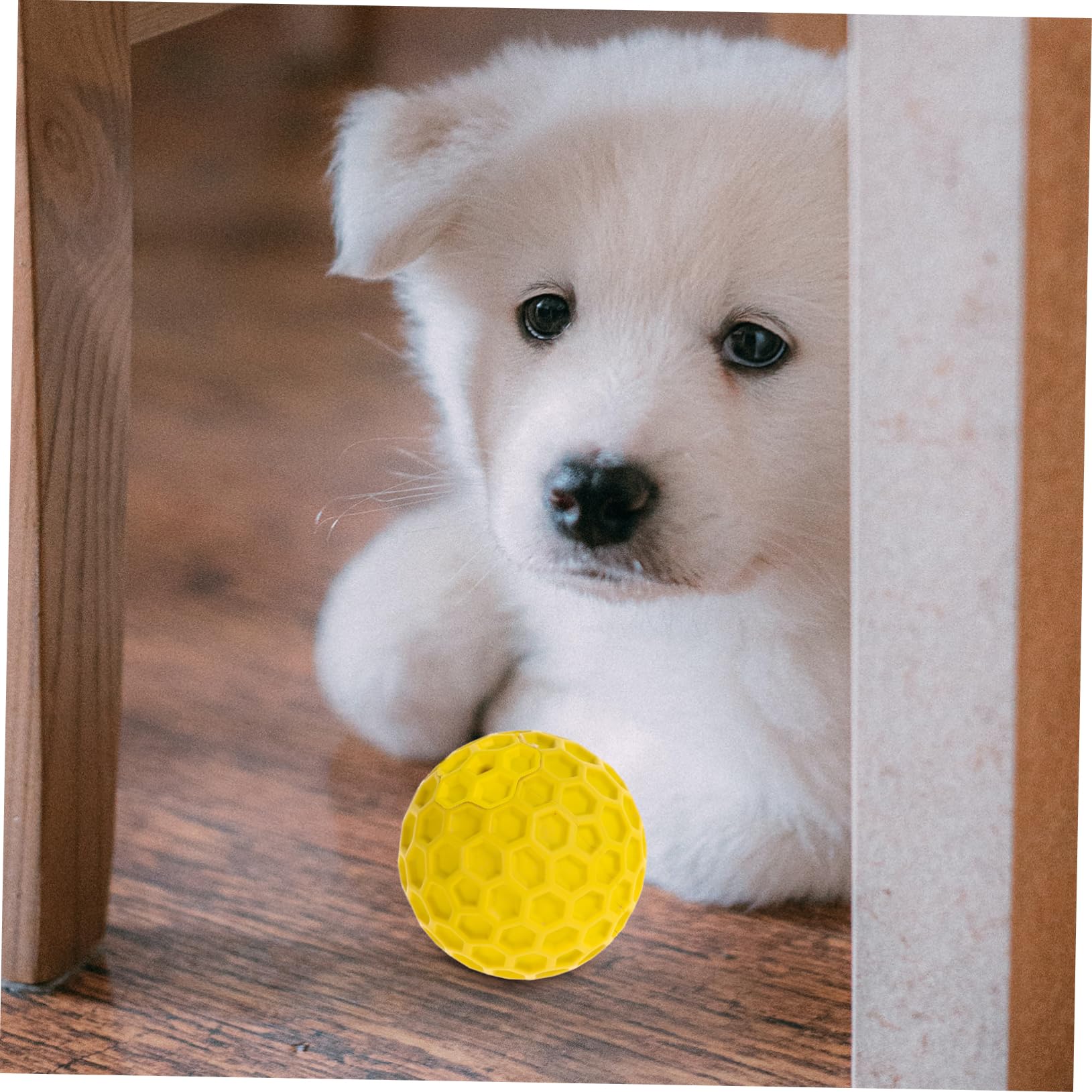 Angoily 5pezzi Palla Interattiva Squeaky Per Cani Piccoli Giocattolo Gomma Per Addestramento e Pulizia Denti Resistente e Sicuro Colore Random